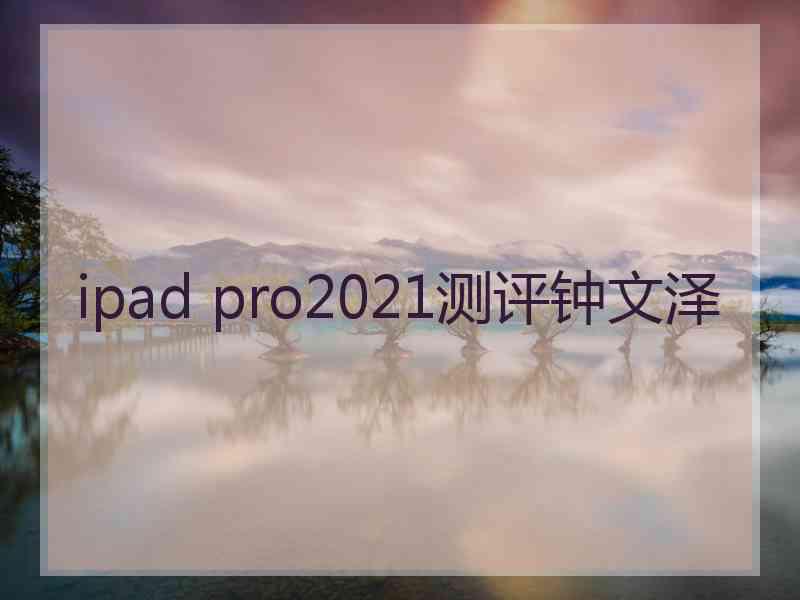 ipad pro2021测评钟文泽