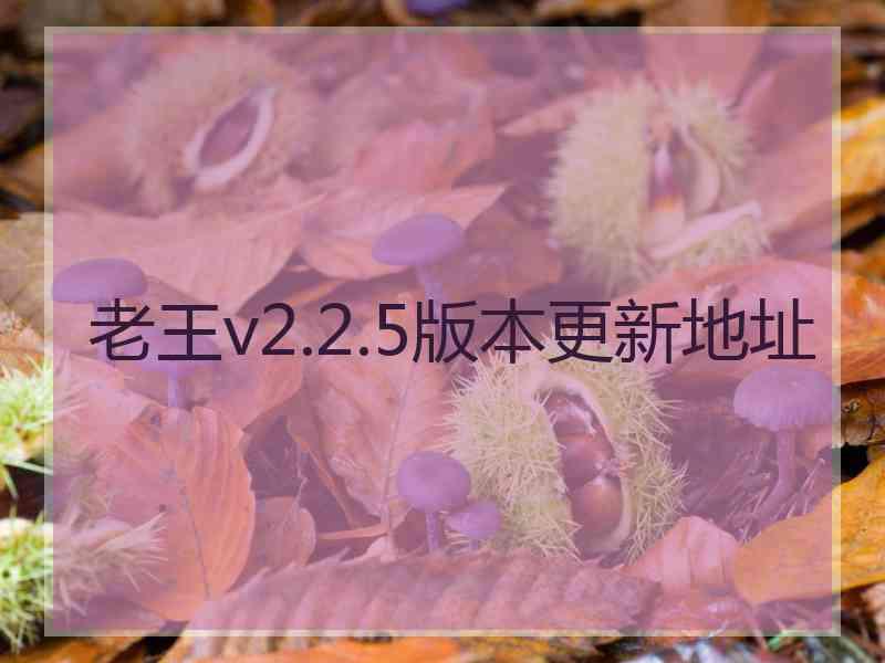 老王v2.2.5版本更新地址