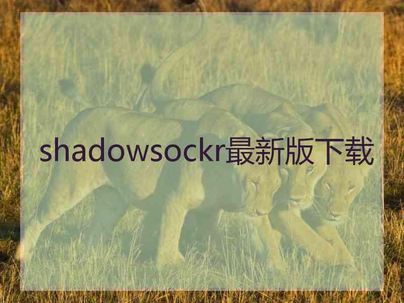 shadowsockr最新版下载