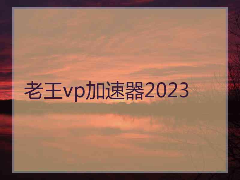 老王vp加速器2023